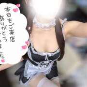 ヒメ日記 2026/01/16 00:30 投稿 なつき みつらん鉄道