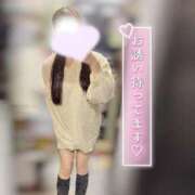 ヒメ日記 2026/01/28 07:15 投稿 なつき みつらん鉄道