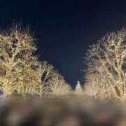 ヒメ日記 2024/12/16 11:02 投稿 ゆずき お姉京都