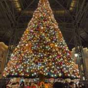 ヒメ日記 2024/12/27 10:03 投稿 ゆずき お姉京都