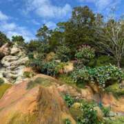 ヒメ日記 2025/02/13 13:03 投稿 ゆずき お姉京都