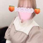 ヒメ日記 2025/01/10 08:38 投稿 もも タレントCLUB