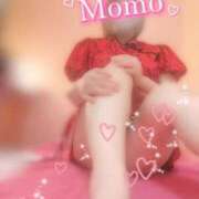 ヒメ日記 2025/02/01 08:14 投稿 もも タレントCLUB