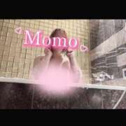 ヒメ日記 2025/02/24 08:19 投稿 もも タレントCLUB