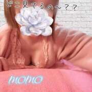 ヒメ日記 2025/03/20 14:53 投稿 もも タレントCLUB