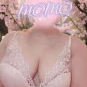 ヒメ日記 2025/04/04 08:40 投稿 もも タレントCLUB