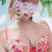 ヒメ日記 2025/04/28 20:28 投稿 もも タレントCLUB