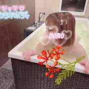 ヒメ日記 2025/05/04 08:10 投稿 もも タレントCLUB