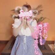 ヒメ日記 2025/05/10 08:10 投稿 もも タレントCLUB