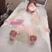 ヒメ日記 2025/06/04 08:07 投稿 もも タレントCLUB