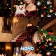 ヒメ日記 2025/11/28 09:39 投稿 もも タレントCLUB