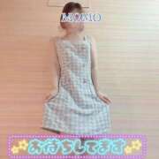 ヒメ日記 2025/12/03 08:19 投稿 もも タレントCLUB