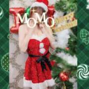 ヒメ日記 2025/12/13 07:53 投稿 もも タレントCLUB