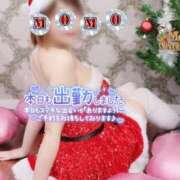 ヒメ日記 2025/12/14 08:15 投稿 もも タレントCLUB