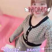 ヒメ日記 2026/01/10 08:21 投稿 もも タレントCLUB