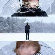 ヒメ日記 2026/02/08 16:19 投稿 もも タレントCLUB