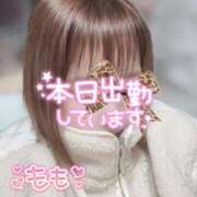 ヒメ日記 2026/03/14 08:11 投稿 もも タレントCLUB