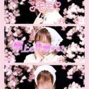 ヒメ日記 2026/03/21 08:05 投稿 もも タレントCLUB