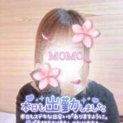 ヒメ日記 2026/04/29 08:11 投稿 もも タレントCLUB