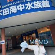 ヒメ日記 2026/09/12 08:55 投稿 もも タレントCLUB