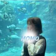ヒメ日記 2026/09/21 07:52 投稿 もも タレントCLUB