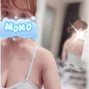 ヒメ日記 2026/09/22 08:04 投稿 もも タレントCLUB