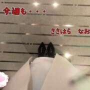 ヒメ日記 2024/12/13 22:07 投稿 笹原　奈央 東京ローズマリー