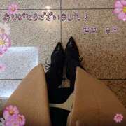 ヒメ日記 2024/12/17 18:47 投稿 笹原　奈央 東京ローズマリー