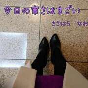 ヒメ日記 2024/12/19 15:57 投稿 笹原　奈央 東京ローズマリー