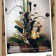 ヒメ日記 2025/09/07 09:37 投稿 笹原　奈央 東京ローズマリー