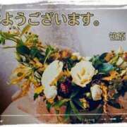 ヒメ日記 2024/12/13 08:59 投稿 笹原 ローズマリー大塚