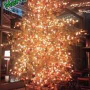 ヒメ日記 2024/12/25 16:09 投稿 笹原 ローズマリー大塚