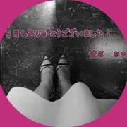 ヒメ日記 2025/06/03 22:14 投稿 笹原 ローズマリー大塚