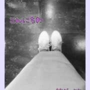 ヒメ日記 2025/06/17 17:04 投稿 笹原 ローズマリー大塚