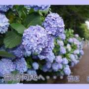 ヒメ日記 2025/06/21 00:24 投稿 笹原 ローズマリー大塚