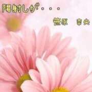 ヒメ日記 2025/06/28 17:14 投稿 笹原 ローズマリー大塚