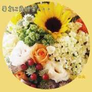 ヒメ日記 2025/07/04 17:54 投稿 笹原 ローズマリー大塚