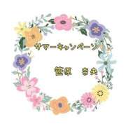 ヒメ日記 2025/07/12 11:34 投稿 笹原 ローズマリー大塚