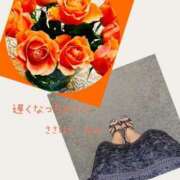 ヒメ日記 2025/07/23 15:05 投稿 笹原 ローズマリー大塚