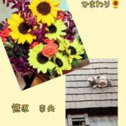 ヒメ日記 2025/07/24 19:34 投稿 笹原 ローズマリー大塚