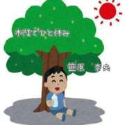 ヒメ日記 2025/08/07 20:04 投稿 笹原 ローズマリー大塚