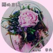 ヒメ日記 2025/08/11 17:04 投稿 笹原 ローズマリー大塚