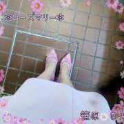 ヒメ日記 2025/08/22 11:24 投稿 笹原 ローズマリー大塚