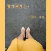 ヒメ日記 2025/08/29 12:34 投稿 笹原 ローズマリー大塚