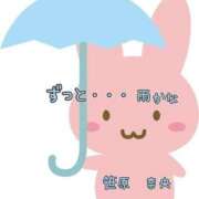 ヒメ日記 2025/09/04 23:04 投稿 笹原 ローズマリー大塚