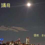 笹原 興奮 ローズマリー大塚