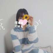 ヒメ日記 2025/02/08 05:45 投稿 こはる 深海魚