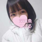 ヒメ日記 2025/02/12 21:00 投稿 こはる 深海魚