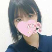 ヒメ日記 2025/05/22 21:00 投稿 こはる 深海魚