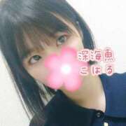 ヒメ日記 2025/05/24 05:45 投稿 こはる 深海魚